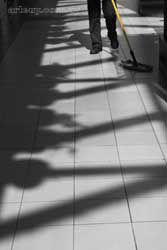Barre sombras > Cecilia Pereira Alvarez